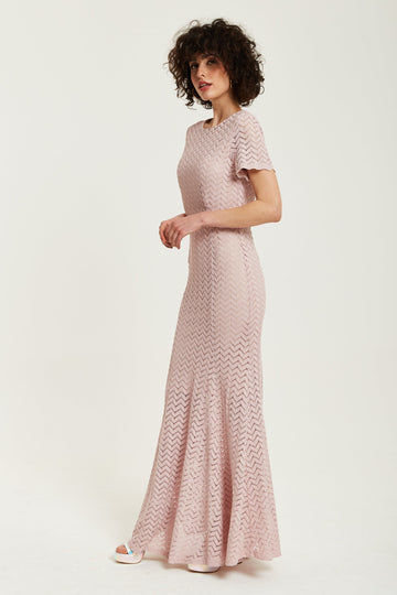 Light Pink Lace Maxi Dress With Open Back Detail Liquorish